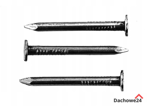 Gwoździe papowe papiaki 3,0x25mm OCYNK 5kg