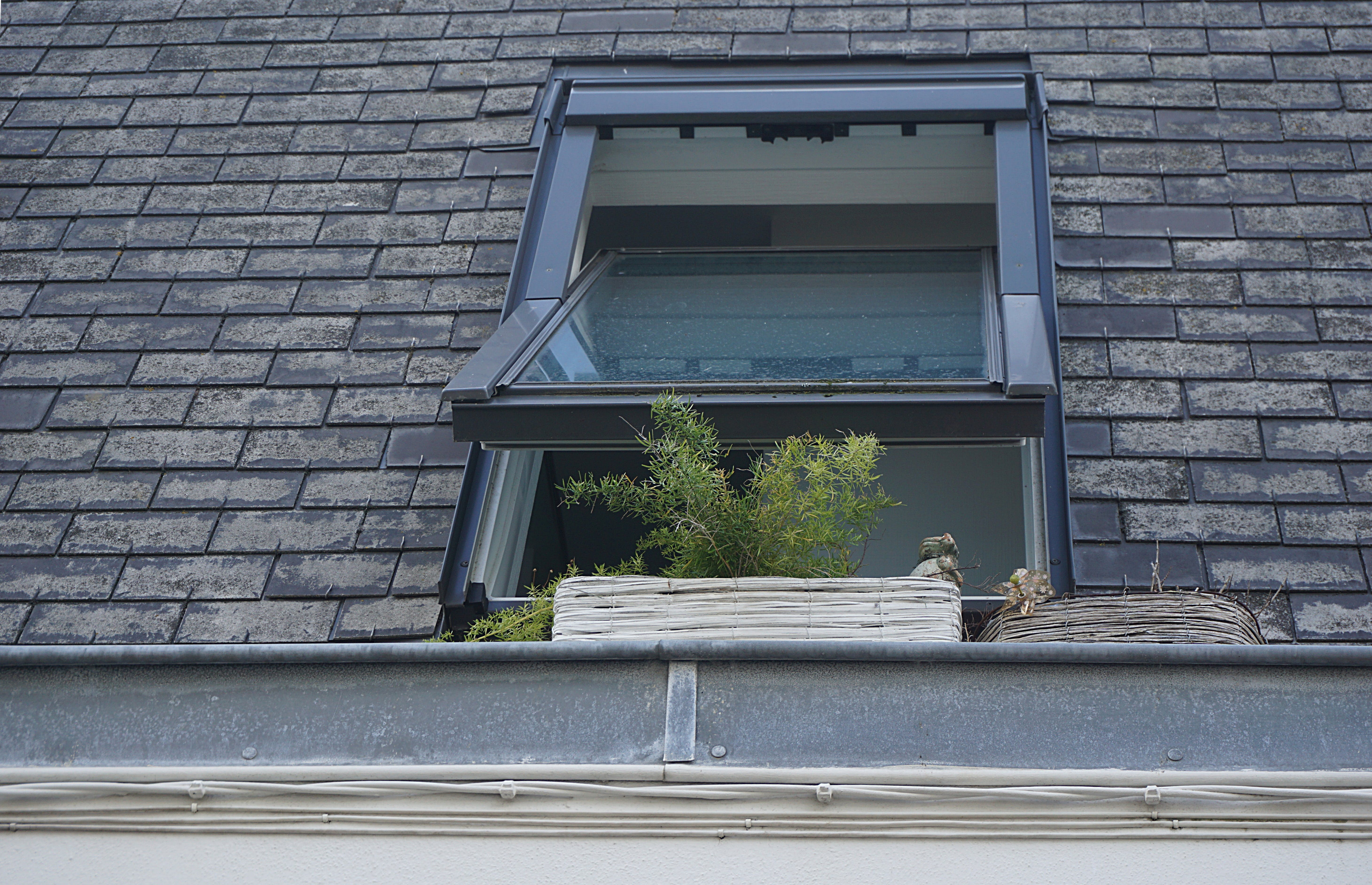 Jakie rolety na okna dachowe? Oto najlepsze propozycje!